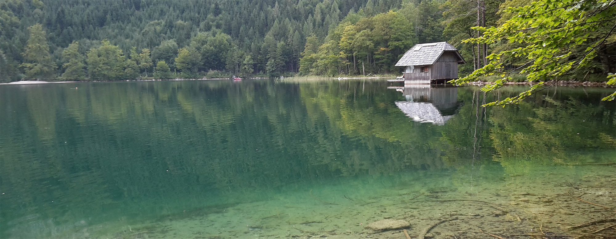 Bild zur Hypnosetherapie